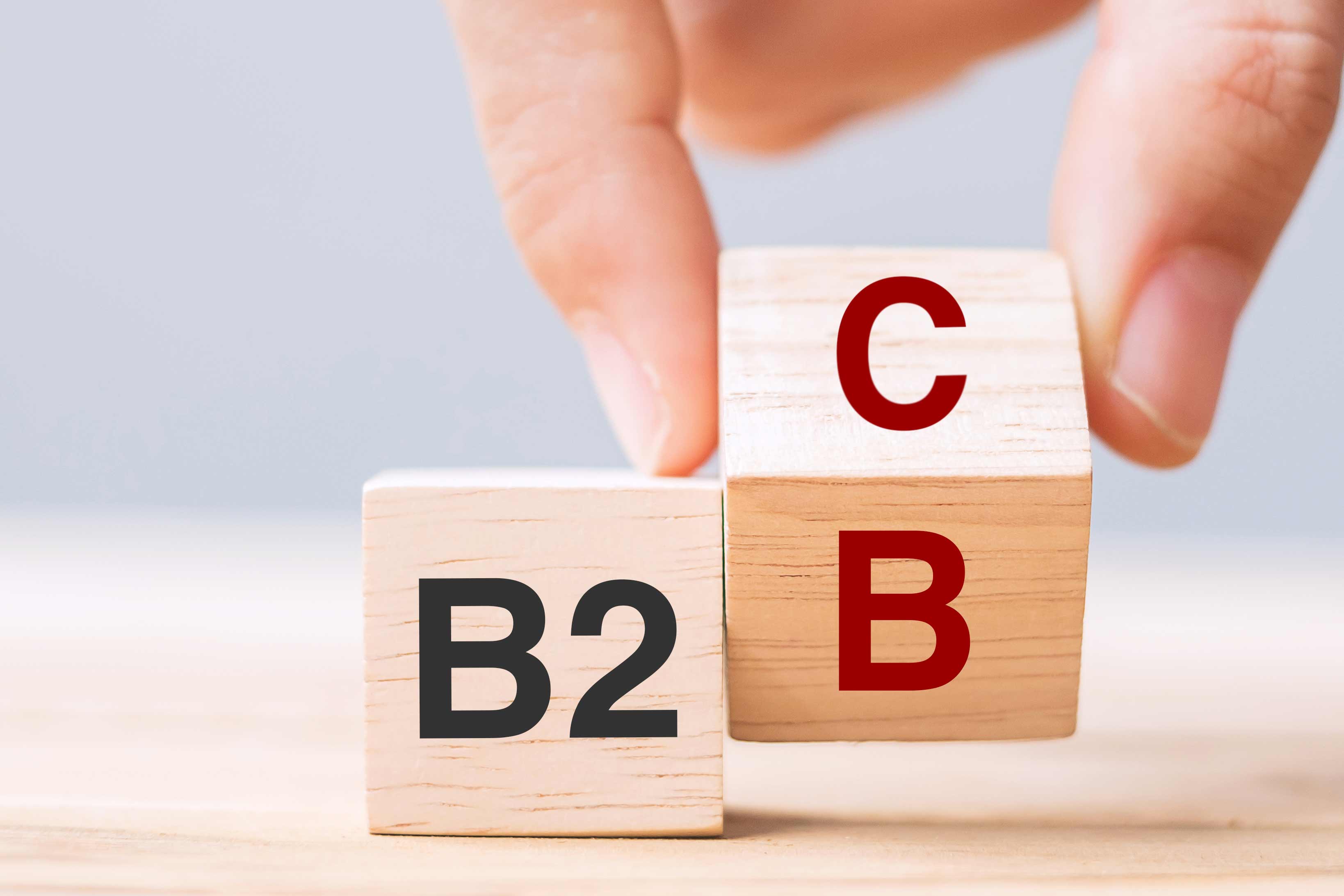 B2B ve B2C E-ticaret Farkları